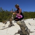 iguana_cuban_jar_v_1740_cub3684.jpg